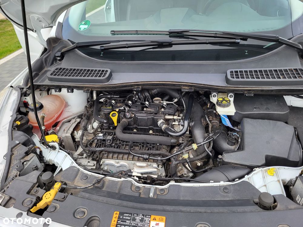 Ford Kuga 1.5 EcoBoost FWD Titanium ASS GPF - 20
