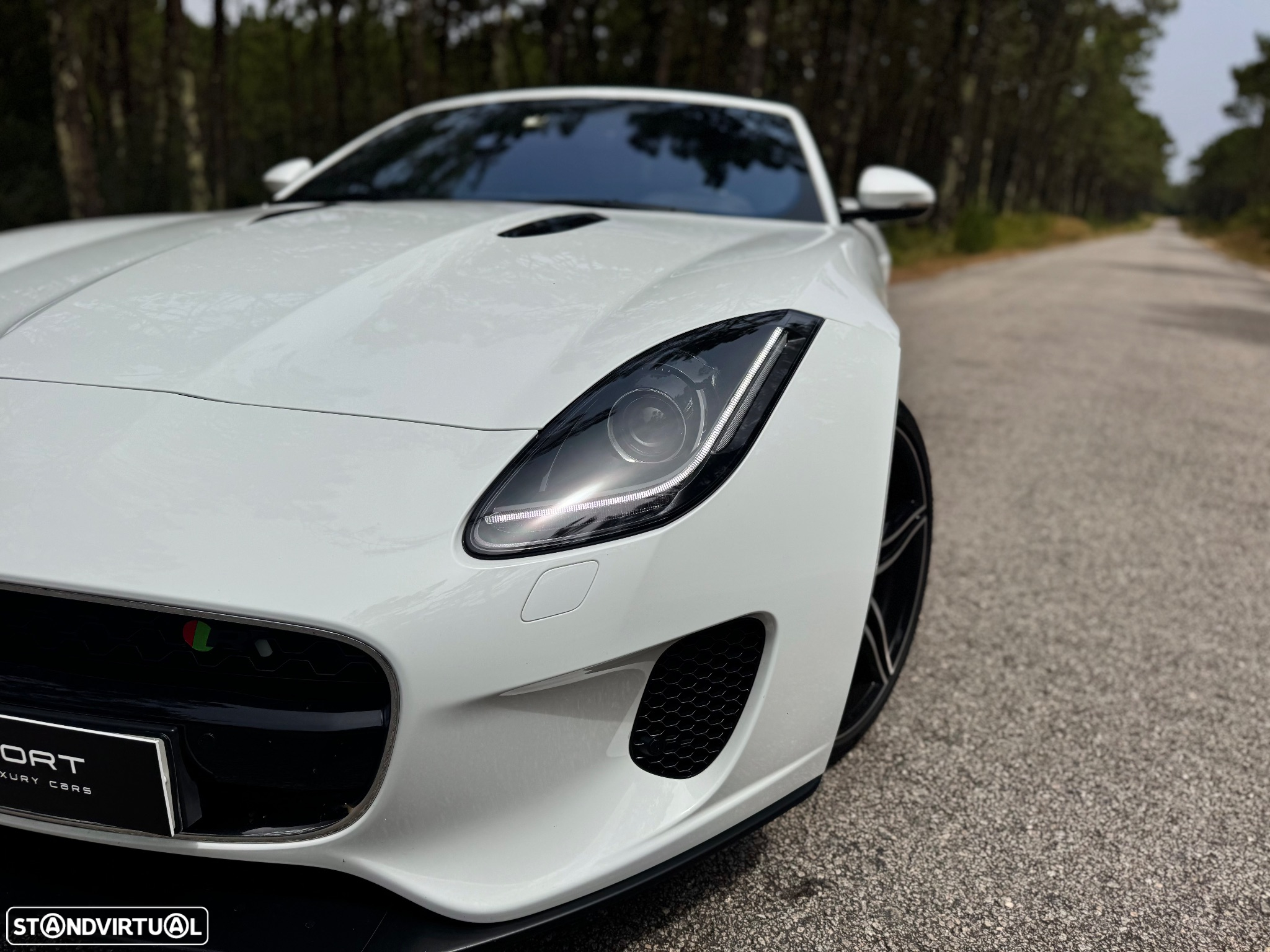 Jaguar F-Type Cabriolet P300 Aut. First Edition - 24