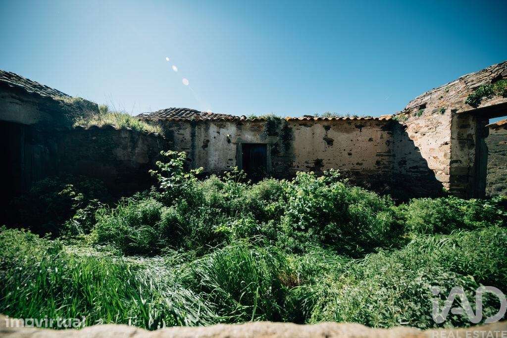 Terreno em Chãs - Grande imagem: 5/40