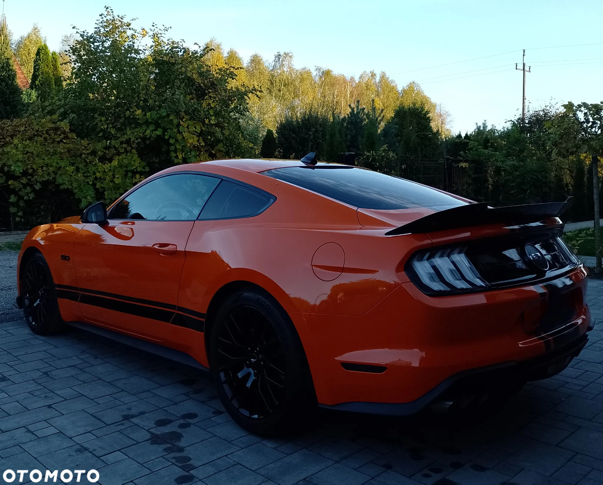 Ford Mustang - 14