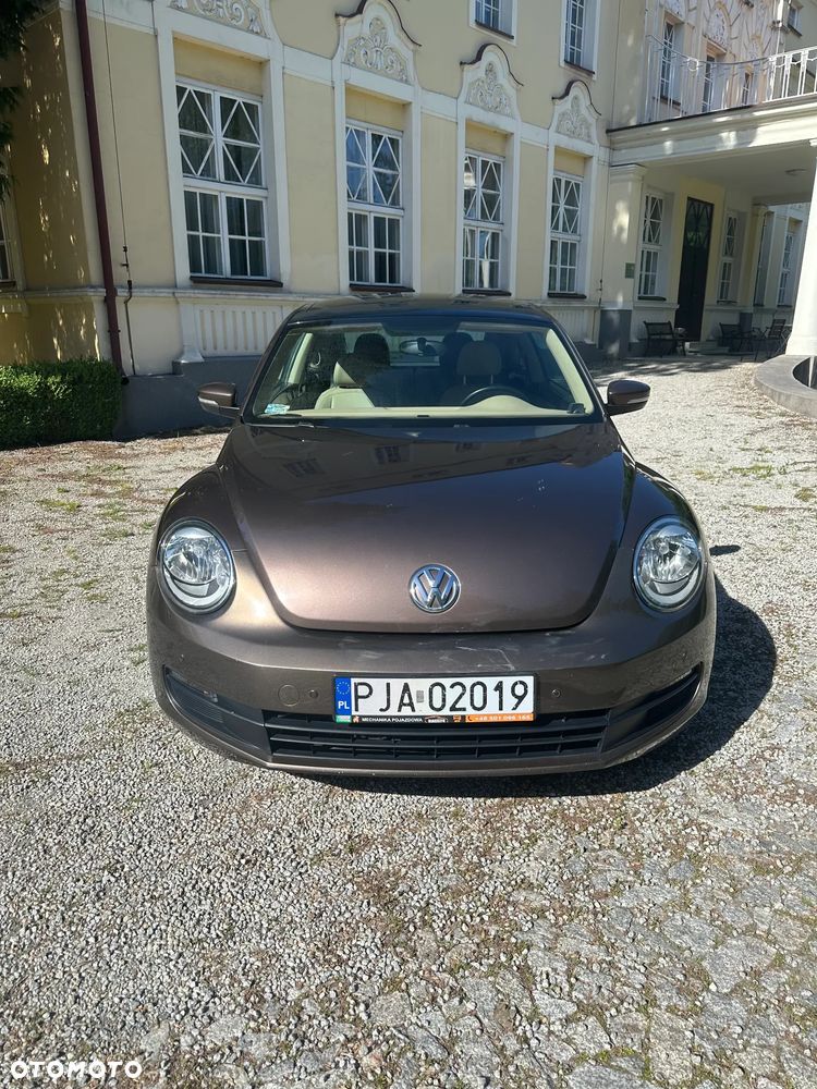 Volkswagen Beetle - 6