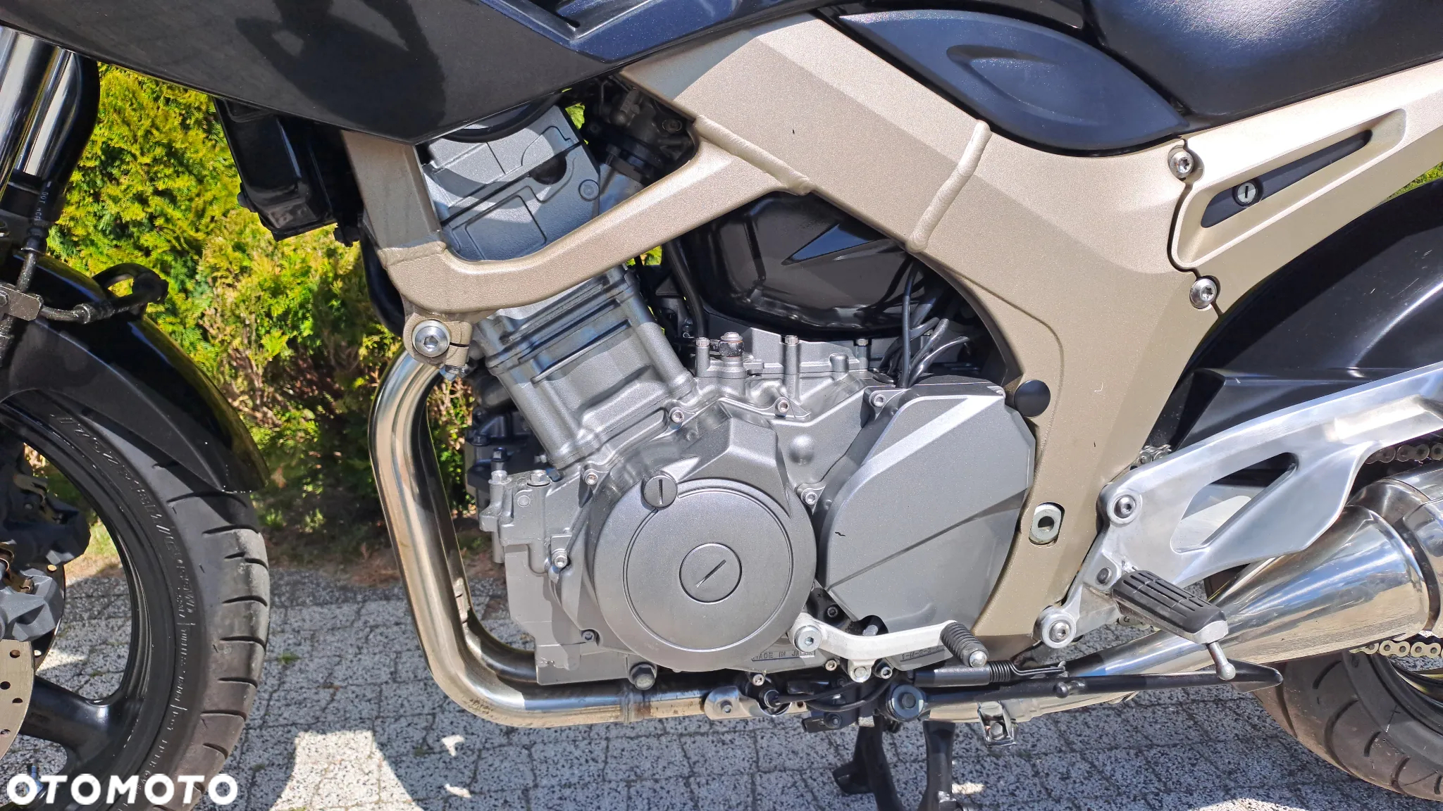 Yamaha TDM - 31