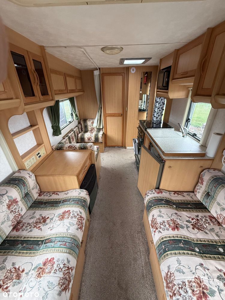 Coachman Amara - 8