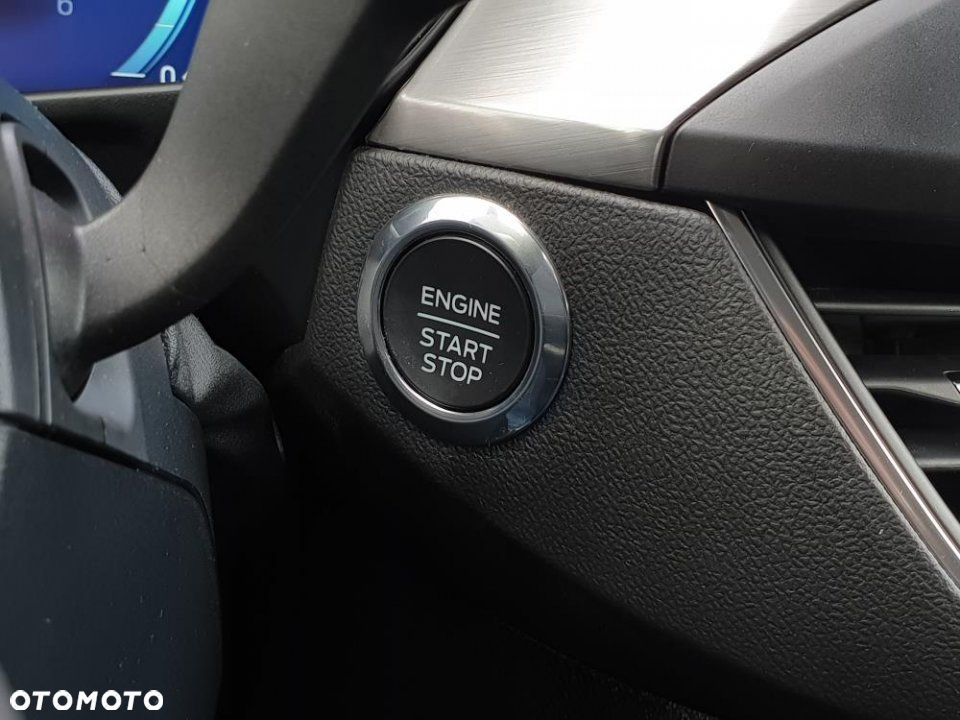 Ford Focus - 19