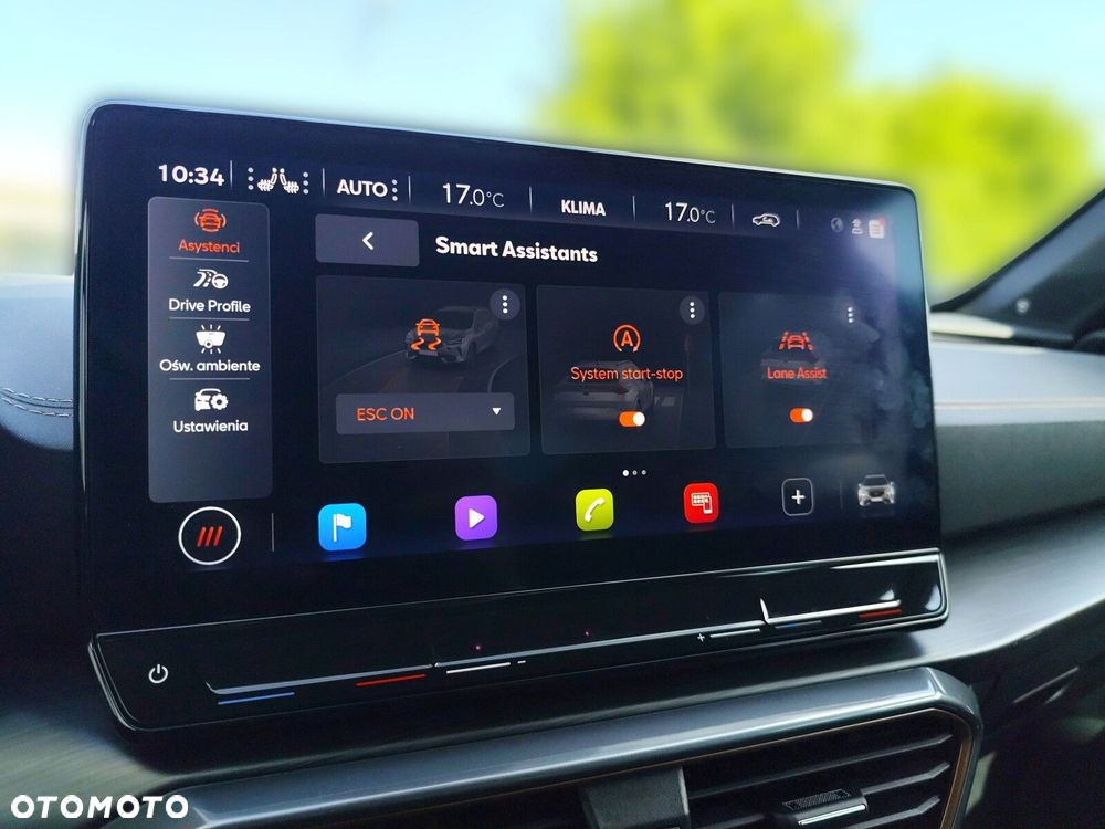Cupra Formentor 2.0 TSI 4Drive VZ DSG - 32