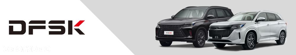 DFSK FX600 1.5 T-GDI Prestige - 40