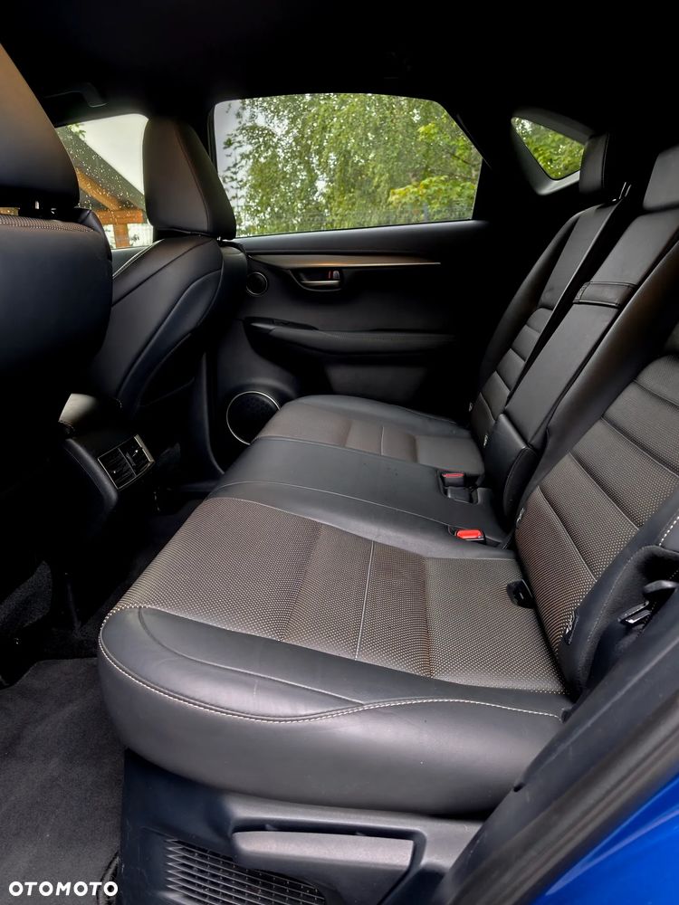 Lexus NX 300h E-FOUR F SPORT - 10