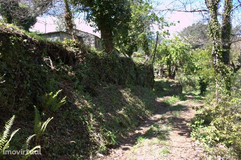 Terreno com casa de pedra - Grande imagem: 3/7