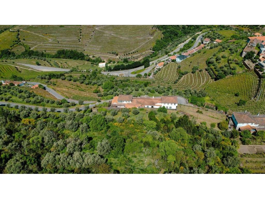 Casa Senhorial Brasonada do Século XVIII na Região do Douro - Grande imagem: 4/57