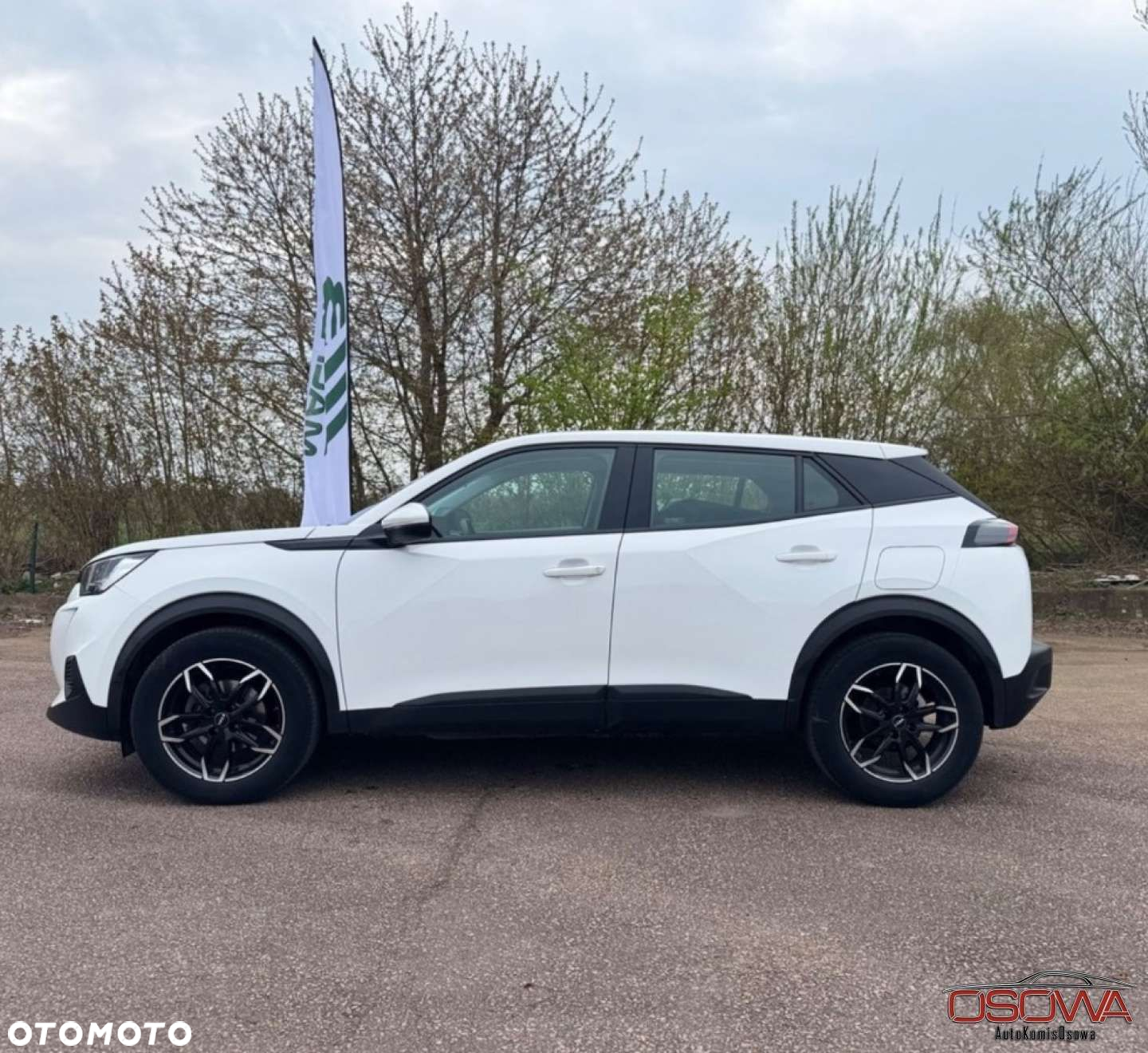 Peugeot 2008 - 4