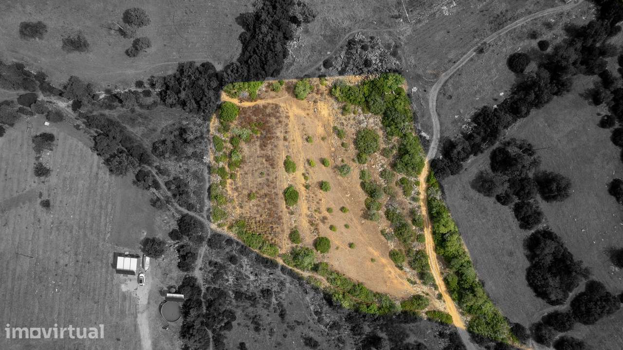 Terreno Rústico de 3.650 m² entre Pechão e Estoi - Grande imagem: 5/11