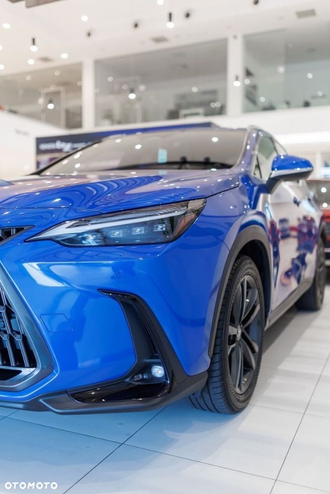 Lexus NX - 14
