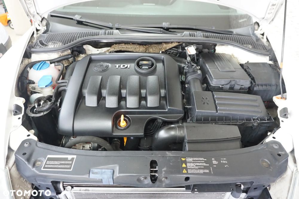 Skoda Octavia 1.9 TDI DSG Elegance - 13