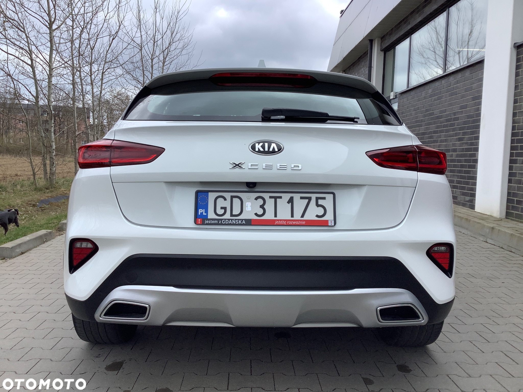 Kia XCeed 1.6 GDI DCT6 OPF Plug-in-Hybrid SPIRIT - 8