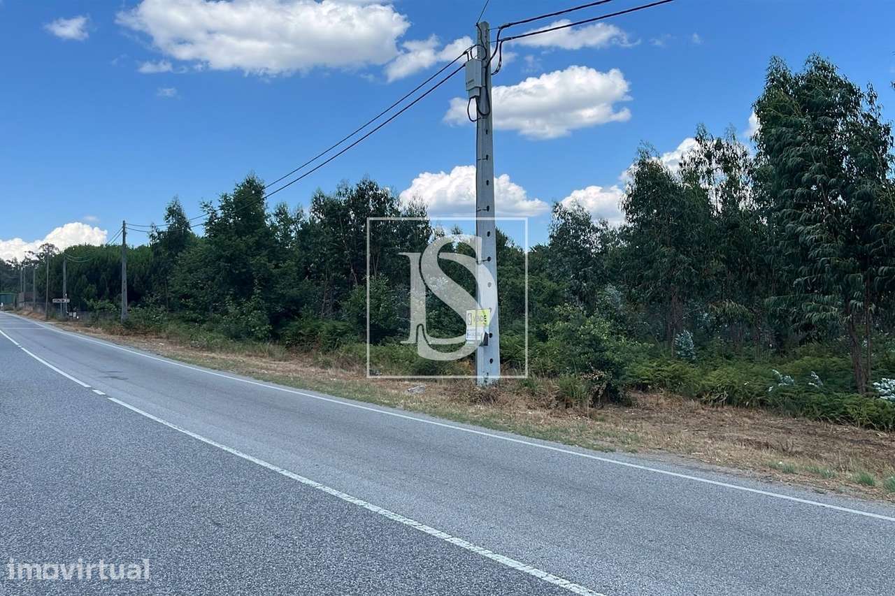 Terreno  Venda em Vilar de Besteiros e Mosteiro de Fráguas,Tondela - Grande imagem: 3/5