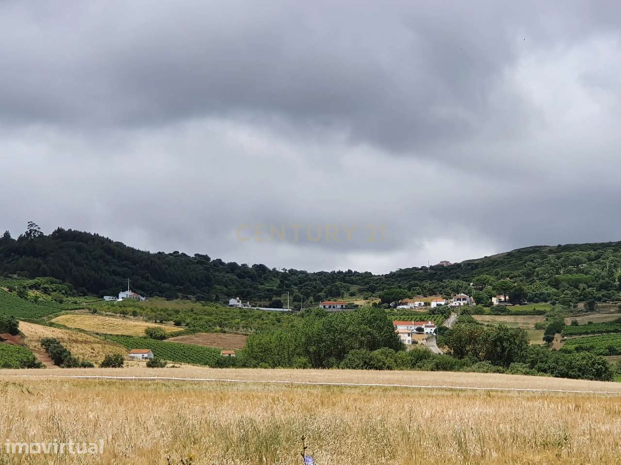 Quinta com 24.560m2 | Arruda dos Vinhos - Grande imagem: 5/7