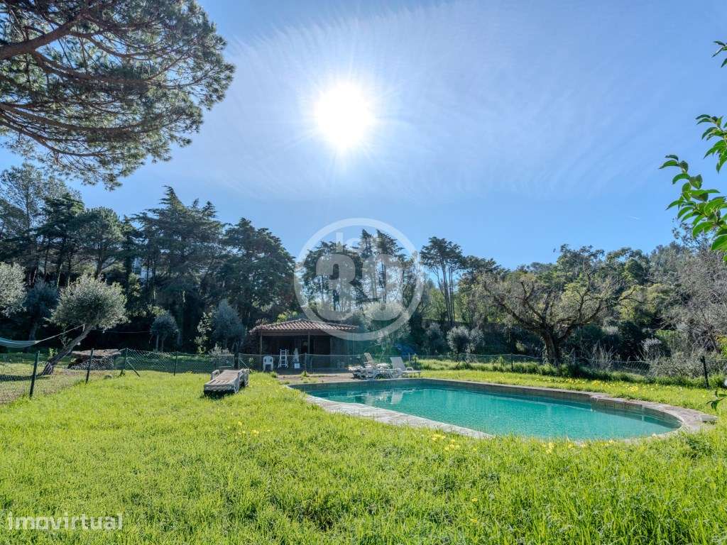 Moradia exclusiva com 6.588 m² de terreno urbano a 1 km do Centro H... - Grande imagem: 4/60