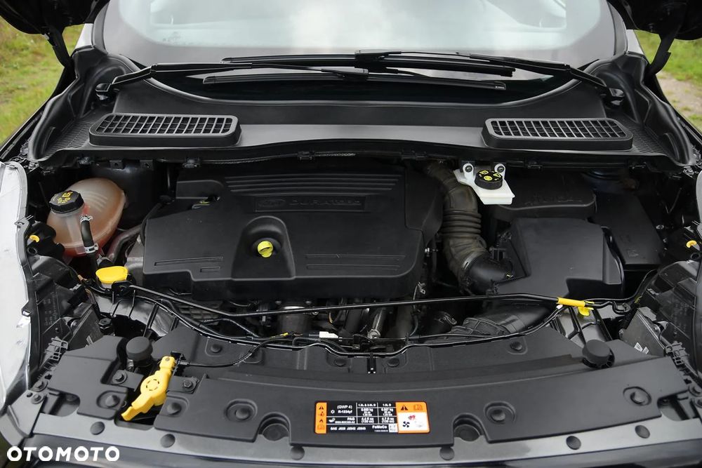 Ford Kuga 2.0 TDCi 2x4 ST-Line - 35