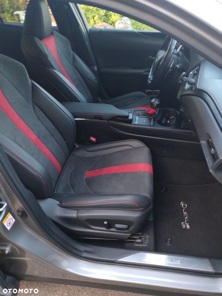 Lexus UX 250h F Sport 2WD - 19