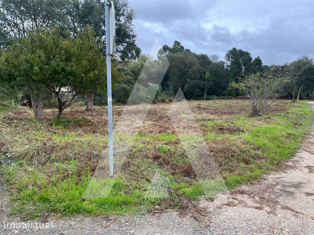 Terreno em Esgueira - Aveiro com área de 3289m2 - Grande imagem: 5/6