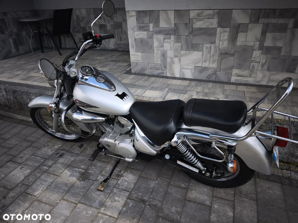 Suzuki Intruder - 16