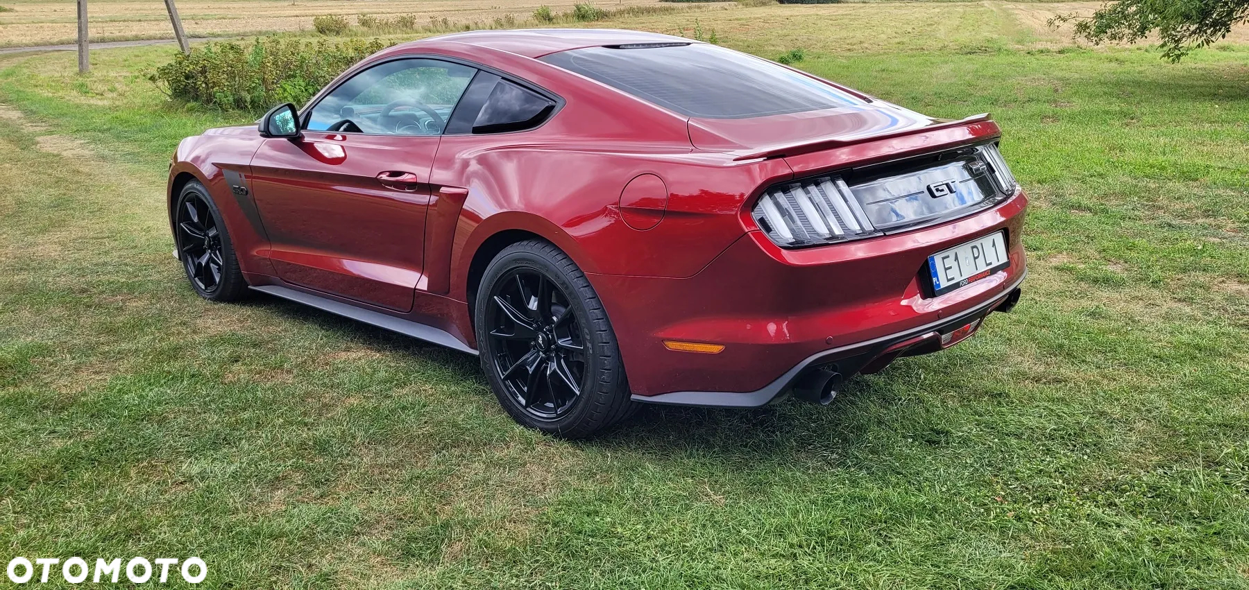 Ford Mustang 5.0 V8 GT - 3