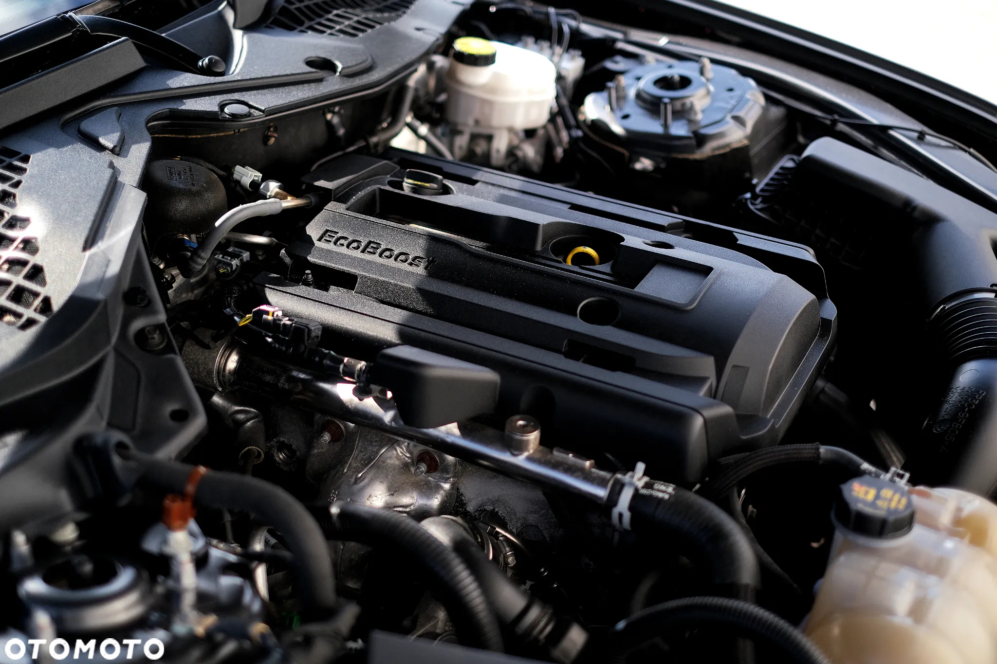 Ford Mustang Fastback 2.3 Eco Boost - 29
