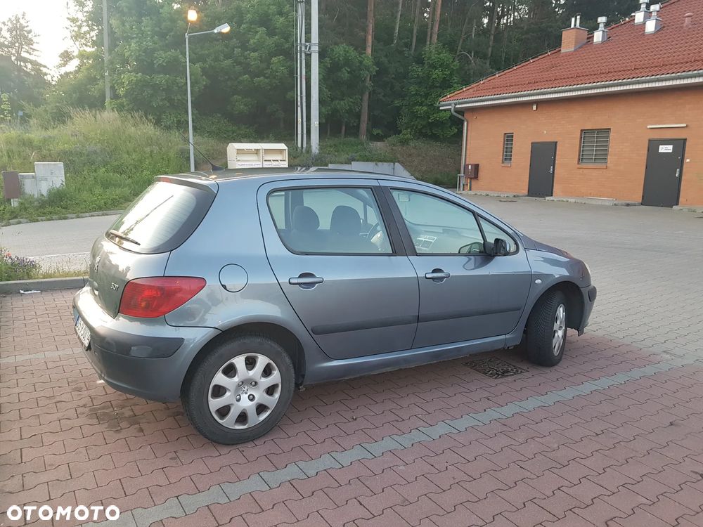 Peugeot 307 1.6 XS - 4
