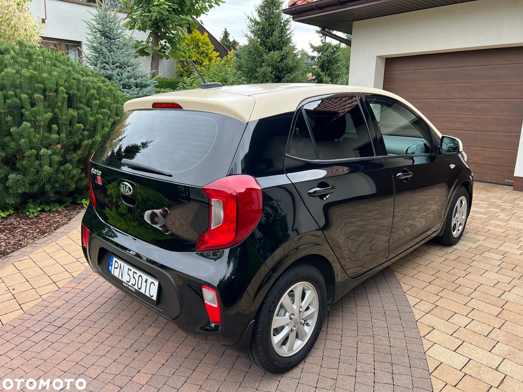 Kia Picanto 1.0 M - 6