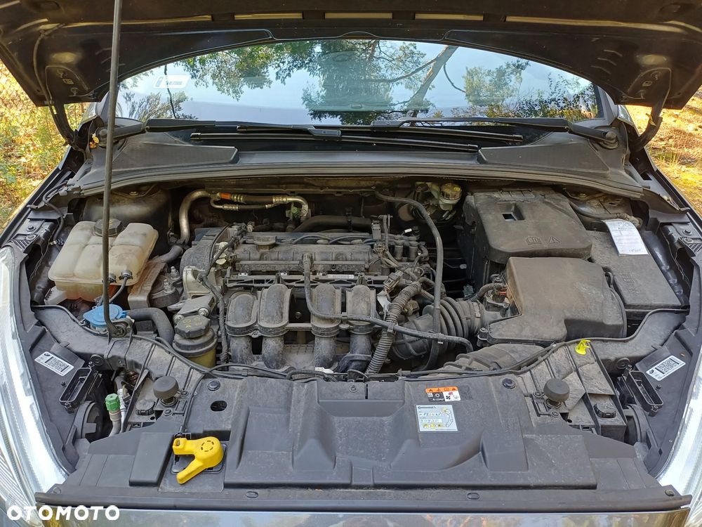 Ford Focus 1.6 Trend - 4
