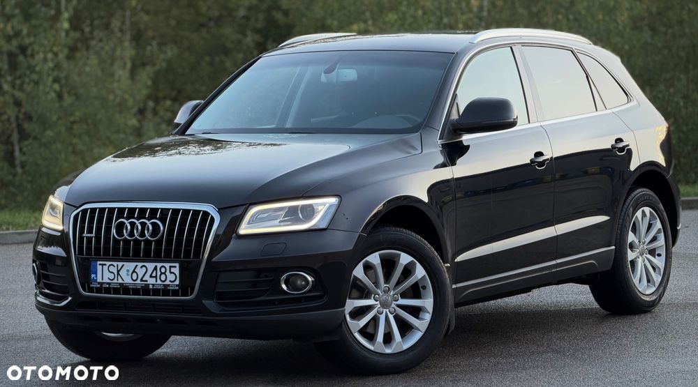 Audi Q5 2013 photo 3