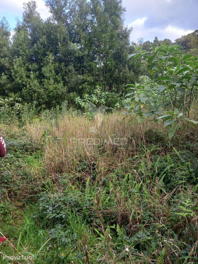 Terreno Rustico nos Biscoitos - Grande imagem: 5/6