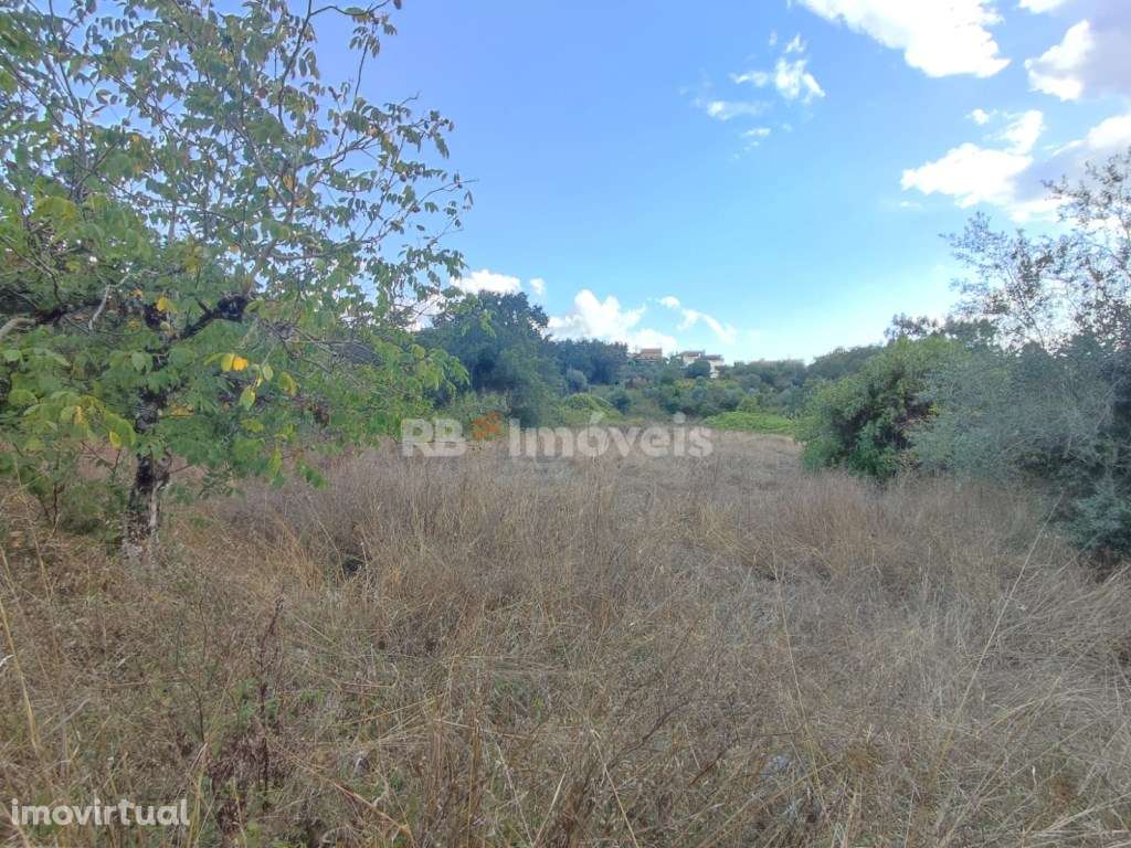 Terreno rústico com 1280m² - Ferreira do Zêzere - Grande imagem: 2/13