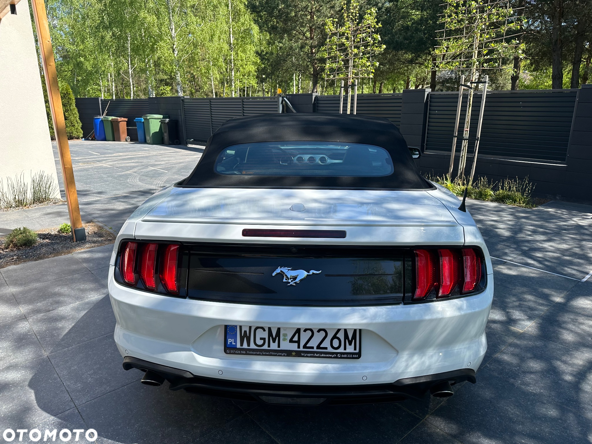 Ford Mustang Cabrio 2.3 Eco Boost - 18