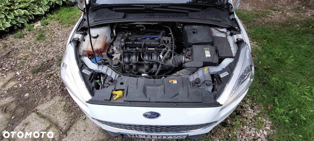 Ford Focus - 16