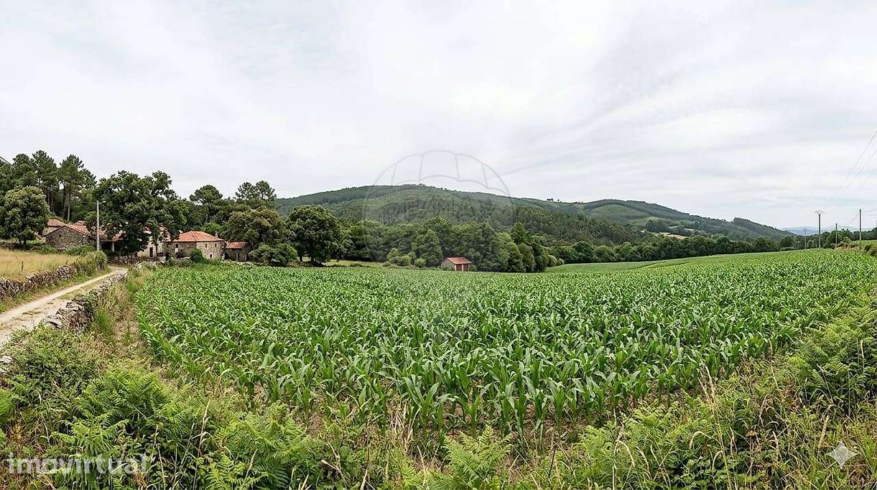 Terreno  para venda - Grande imagem: 5/5