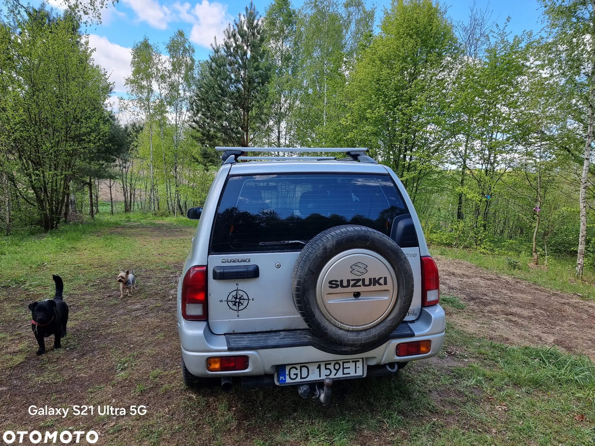 Suzuki Grand Vitara 2.0 HDi - 2
