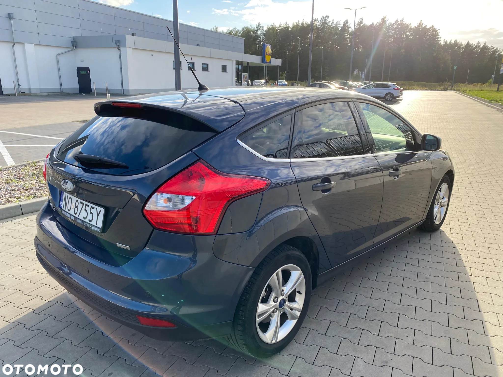 Ford Focus Turnier 1.6 TDCi DPF Start-Stopp-System Champions Edition - 6