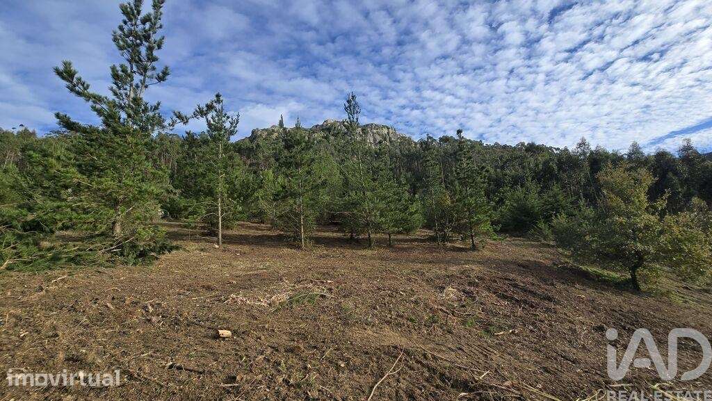 Terreno para construção em Lamas e Cercal - Grande imagem: 5/39