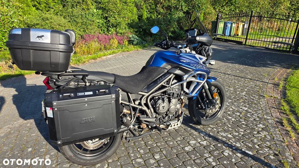 Triumph Tiger - 4