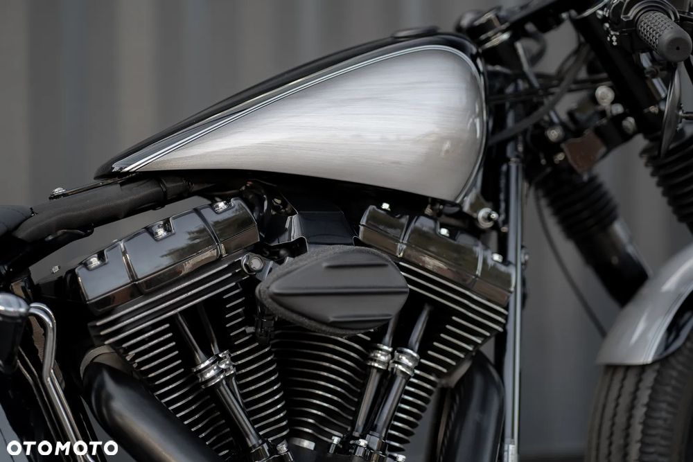 Harley-Davidson Softail Heritage Classic - 6