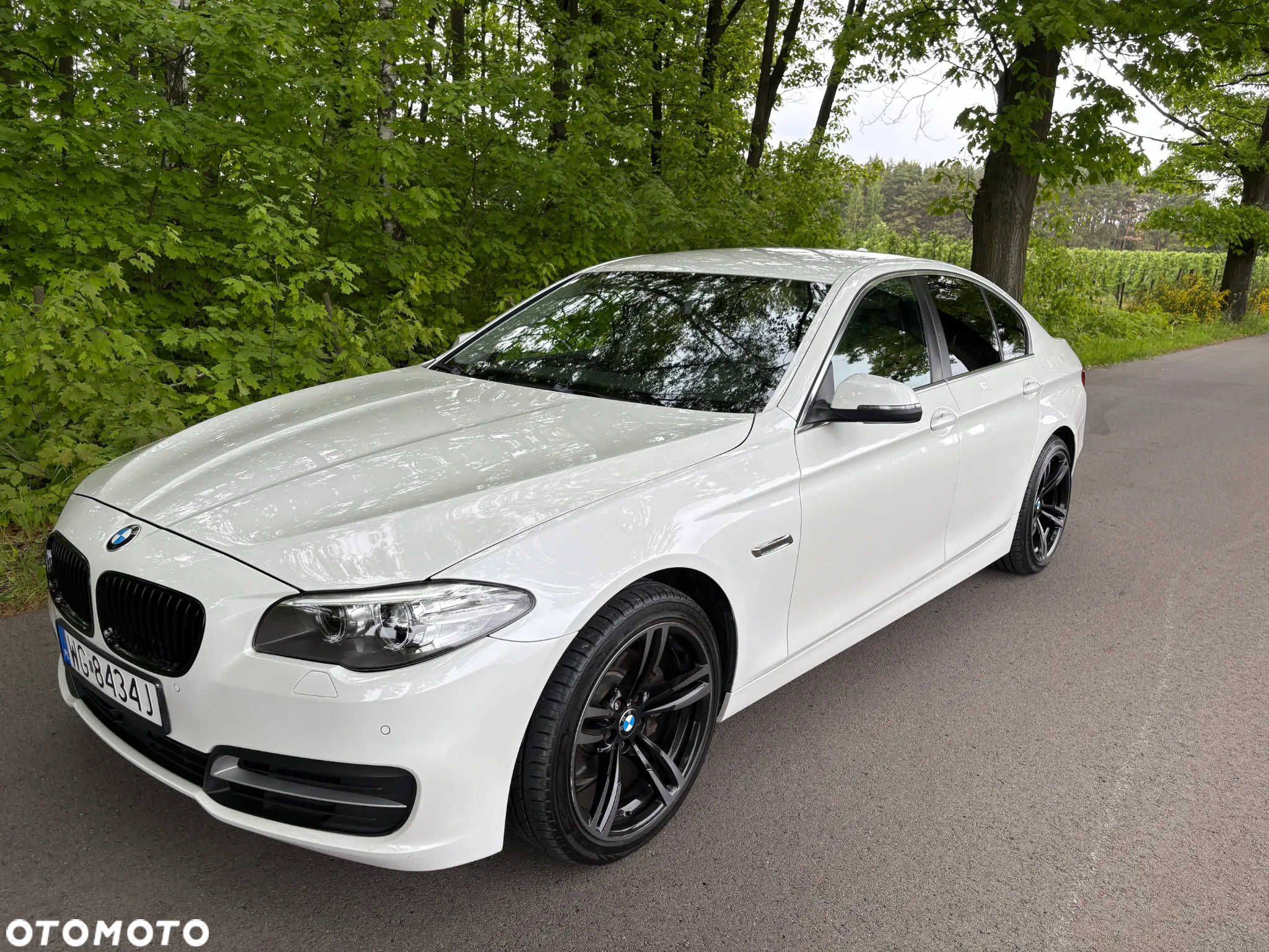 BMW Seria 5 520d - 20