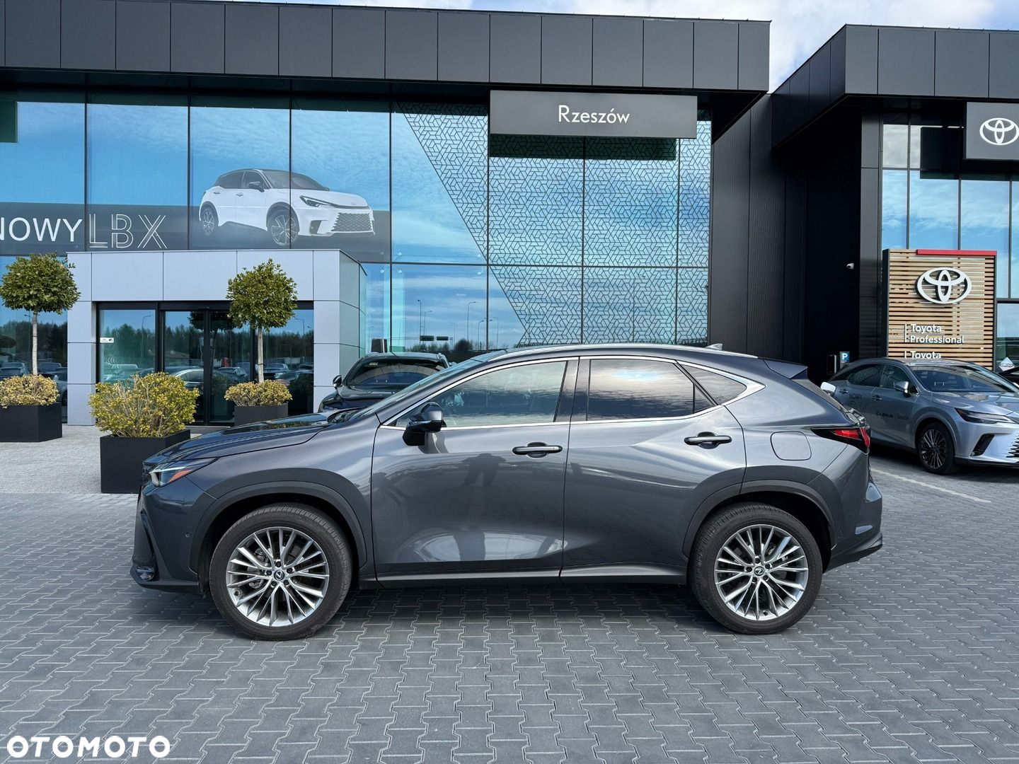 Lexus NX - 2