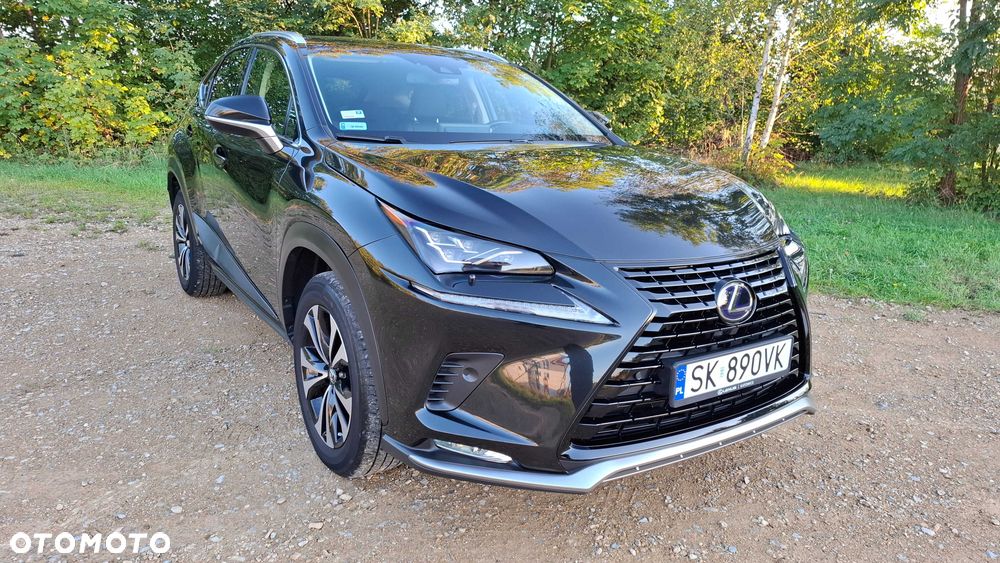 Lexus NX - 1