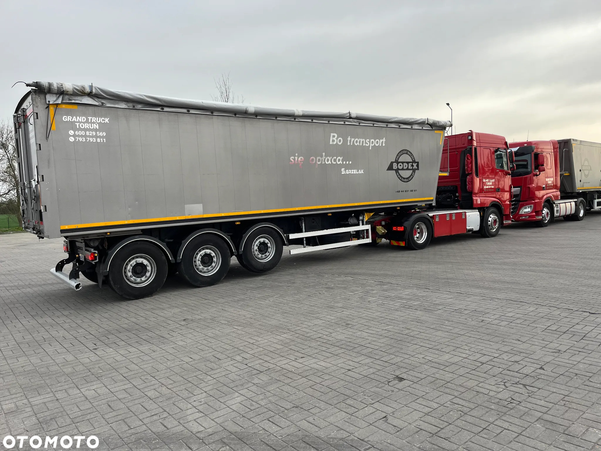 Bodex - 9