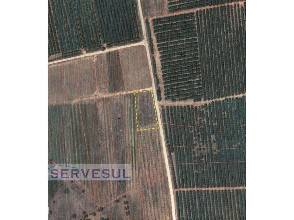 Terreno rústico com aérea total de 1780m2, localizado entre Messine...