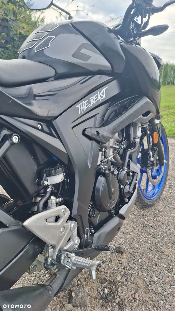 Suzuki GSX - 13