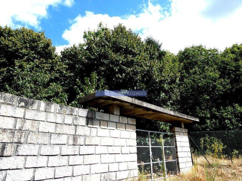 34.000m2 de terreno (Quinta) e 2 Ruínas a 8 minutos do Rio Douro. P... - Grande imagem: 3/9