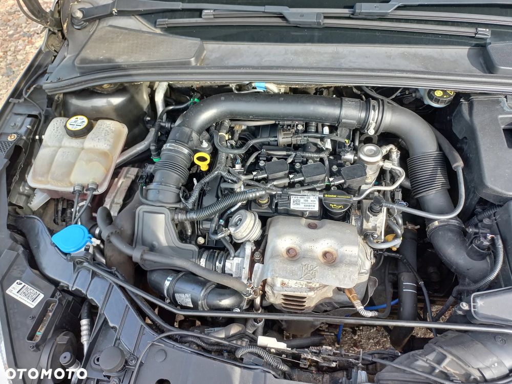 Ford Focus - 24