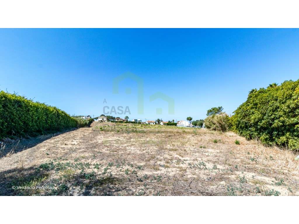 Terreno - Ericeira 4 km, A Casa das Casas - Grande imagem: 2/8
